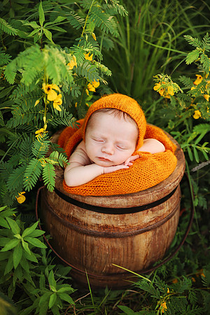 Humboldt Iowa Outdoor Newborn Photographer l Portfolio